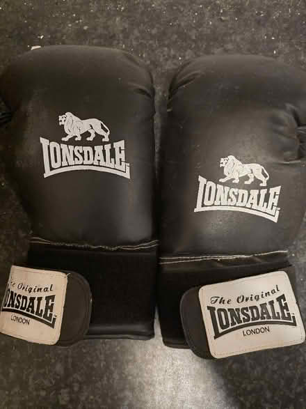 Photo of free Pair of Lonsdale Boxing Gloves (Phippsville NN1) #1