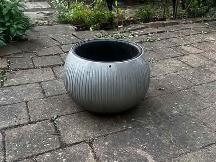 Photo of free Plastic Planter (Ashburton SE25) #1