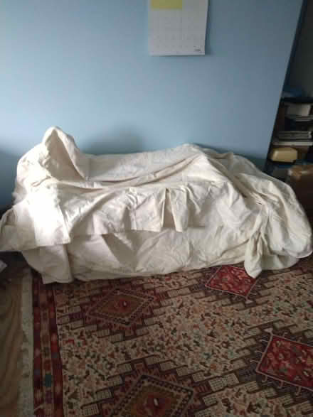 Photo of free Slipcover from home with pets (Hill East DC) #1