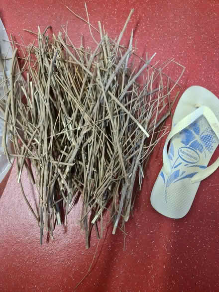 Photo of free Twigs (flip flop not included) (Divinity Road OX4) #1