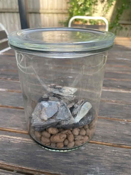 Photo of free Glass terrarium for plants (Bath BA2) #1