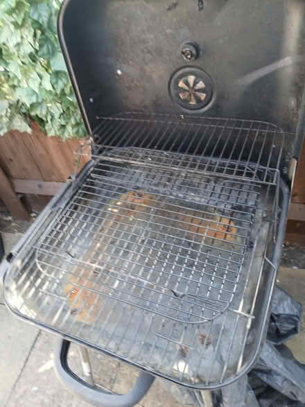 Photo of free Outdoors Garden BBQ (Hayes UB3) #3