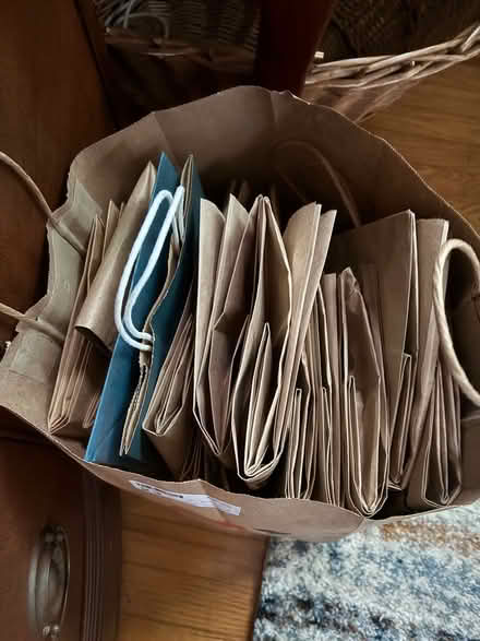 Photo of free Paper bags (Drexel Hill) #1