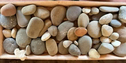 Photo of free Garden River Rocks (Cupertino - DeAnza and 280) #2