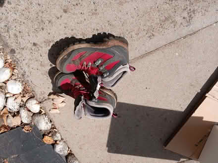 Photo of free Walking boots (Hertford SG13) #1