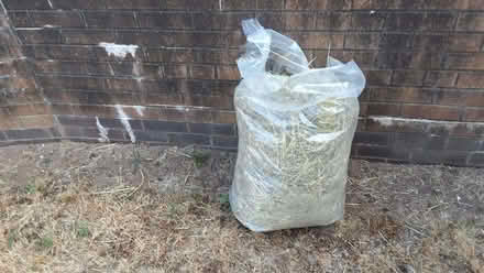 Photo of free Meadow hay (Adamsdown CF24) #1