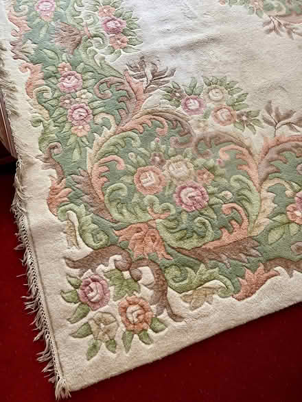 Photo of free Large rug (Glenleigh Park TN39) #2