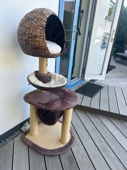 Photo of free Cat Tree (North Bersted, PO21 5**) #1