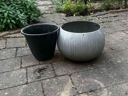 Photo of free Plastic Planter (Ashburton SE25) #2