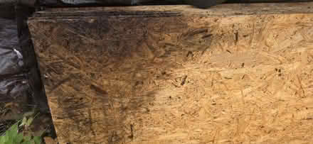 Photo of free 8ft x 4ft (11mm) OSB X 15 SHEETS (NN7 weedon) #2