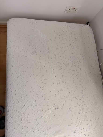 Photo of free A Single Mattress (Bailiff Bridge BD12) #2