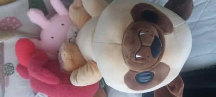 Photo of free Soft cuddly toys (Lower Weston BA1) #2