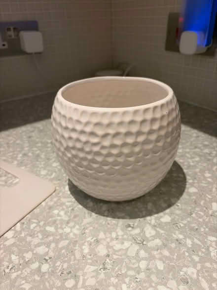 Photo of free White pot (Park street st albans AL2) #1