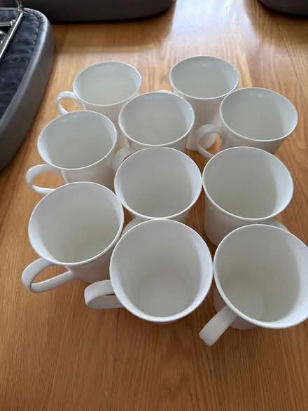 Photo of free 10 + 1 mugs (Bloor & Islington) #4