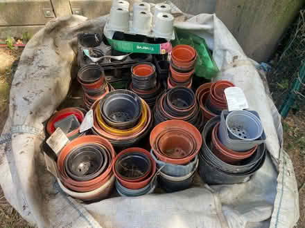 Photo of free LOTS plastic pots garden allotment (Napsbury AL1) #1