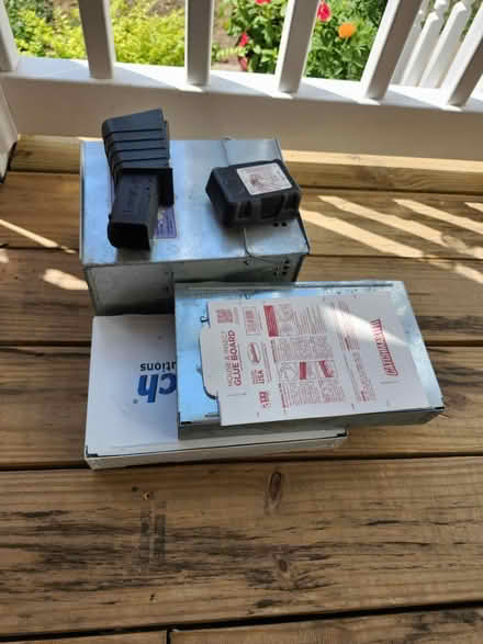 Photo of free Mousetraps, Glue boards (Ambler) #1