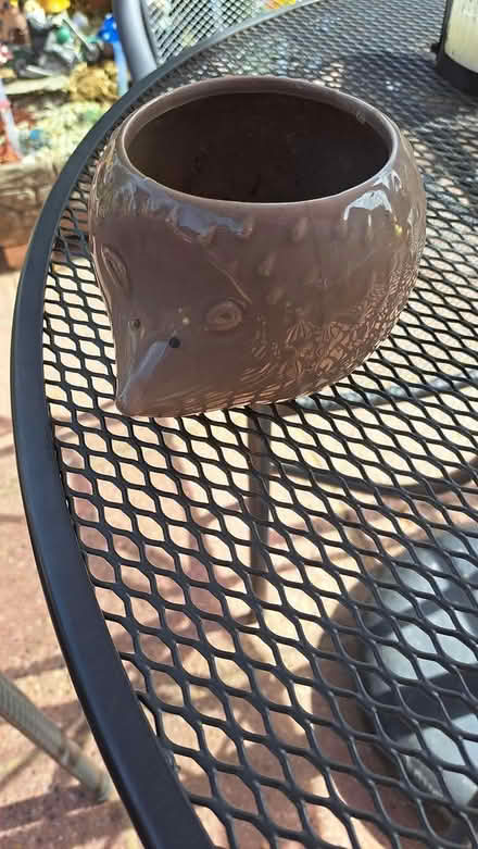 Photo of free Hedgehog planter (Littlehaven) #1