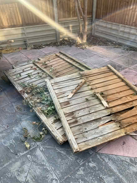 Photo of free Old featherboard fencing (Shears Green DA11) #2