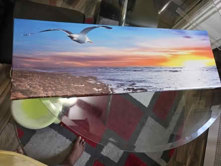 Photo of free canvas photo print (South Ozone Park) #1
