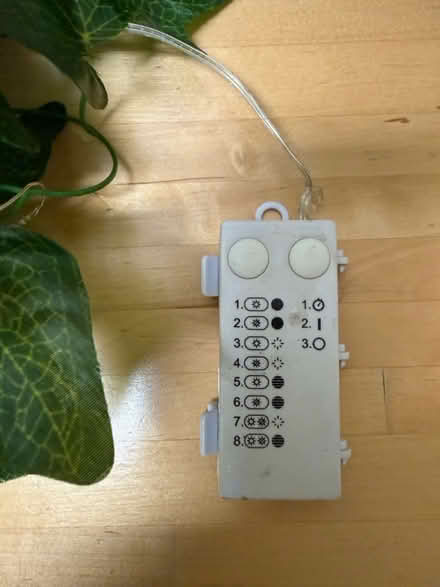 Photo of free Artificial ivy vine-remote control (1075 Valencia Avenue) #2