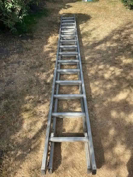 Photo of free Double Ladders (Chipping Barnet EN5) #1