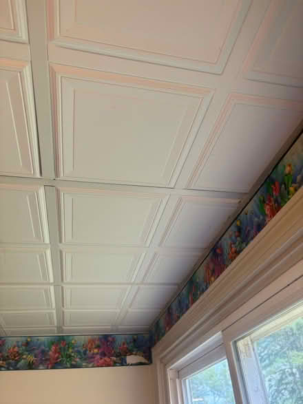 Photo of free 12. 2’ x 2’ drop in ceiling tiles (Off Purchase street Middleboro) #2