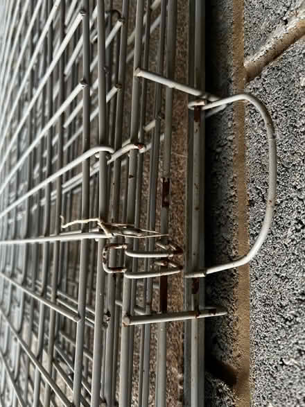 Photo of free Large dog crate (Peterborough) #4