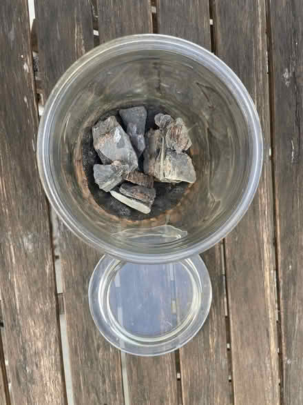Photo of free Glass terrarium for plants (Bath BA2) #2