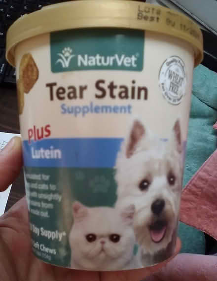 Photo of free Cat Supplements (Oakland) #2