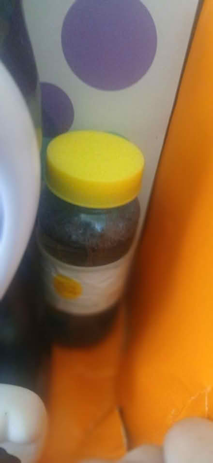 Photo of free Puppy bubblemaker (Longwood) #3