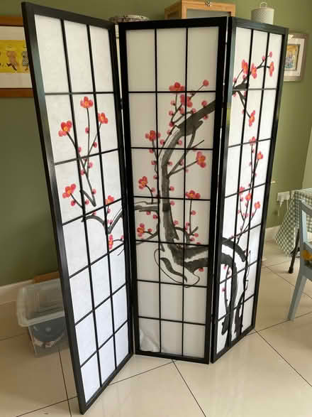 Photo of free Chinese style screen (Bath BA2) #2