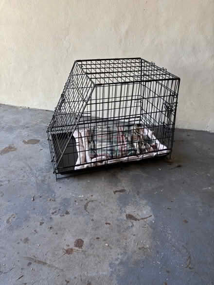 Photo of free Dog cage, folding (EX7 9TE) #1