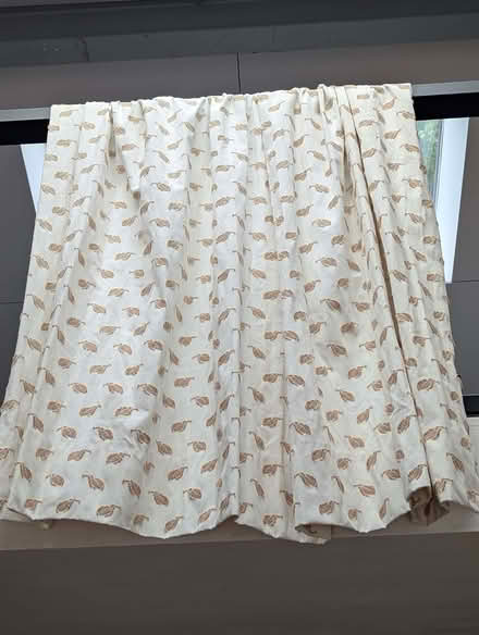 Photo of free Heavy lined curtains (Mold CH7) #3