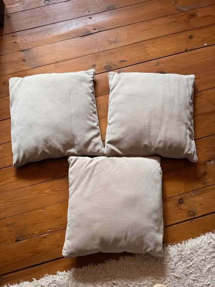 Photo of free Three beige cushions (Ashover, S45) #2