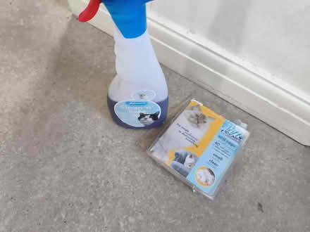 Photo of free Cat stuff (Bradway S17) #1
