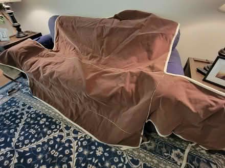 Photo of free Pet Sofa Protector (Columbia Rd, by Fairway Hills) #1