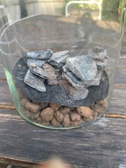 Photo of free Glass terrarium for plants (Bath BA2) #3