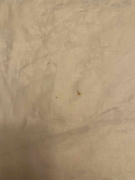 Photo of free Large white linen tablecloth (Hintonburg) #2