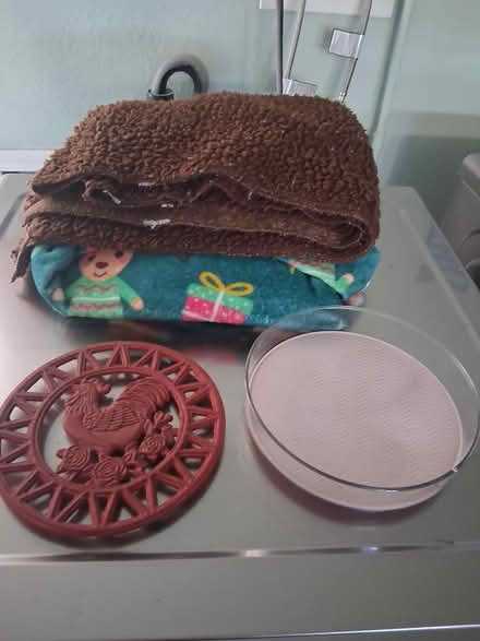 Photo of free Trivet, blankets, etc (Snell and Santa Teresa) #1