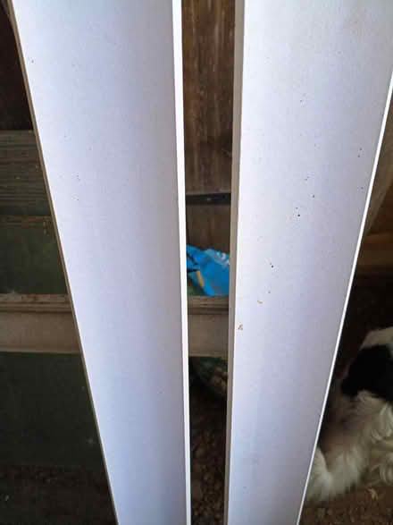 Photo of free Artex plaster coving (Teynham ME9) #4