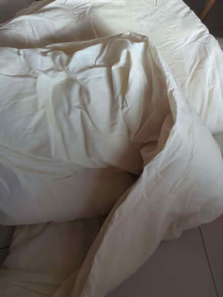 Photo of free Single Duvet 13.5tog (Hendon, The Hyde NW9) #1