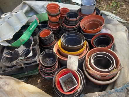 Photo of free LOTS plastic pots garden allotment (Napsbury AL1) #2