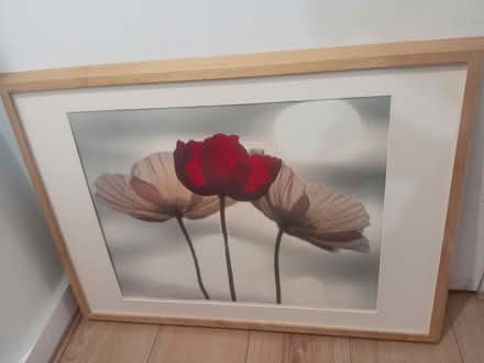 Photo of free Floral art print (Shoreditch E2) #1