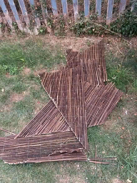 Photo of free Cut ends of willow fencing (Stroud GL5) #1