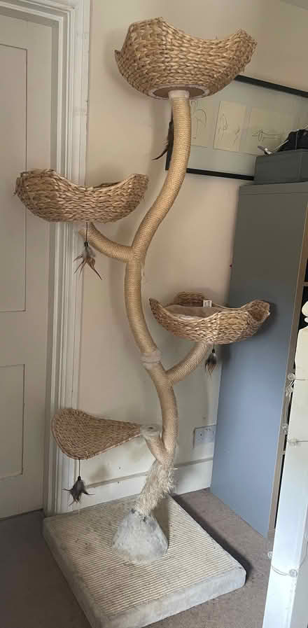 Photo of free Large Cat tree/ bed (Eversley RG27) #1