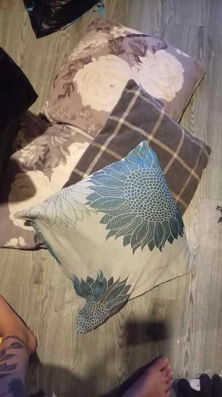 Photo of free Cushions (Stone Cross BN23) #1