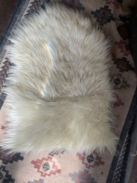Photo of free Small sheepskin piece (Willingdon BN20) #1