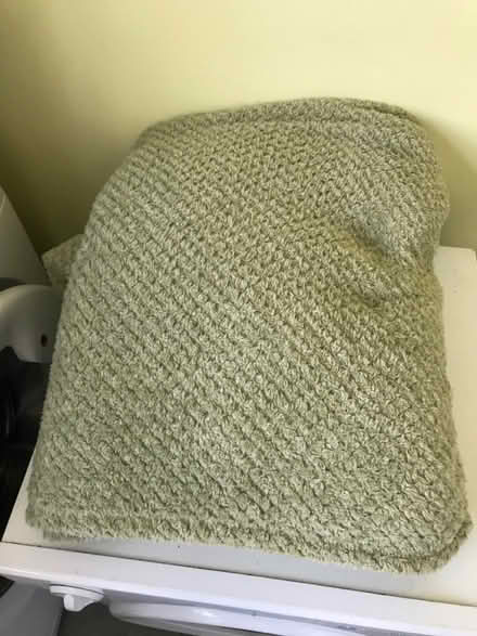 Photo of free Large green blanket (Bedford (putnoe)) #1
