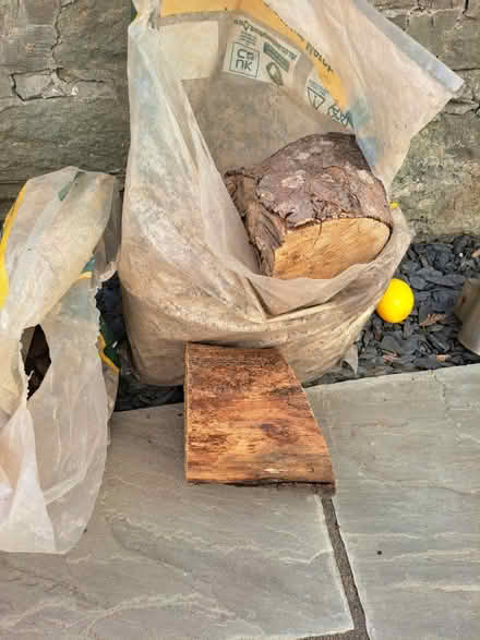 Photo of free Cut logs (CF82 7EF) #2