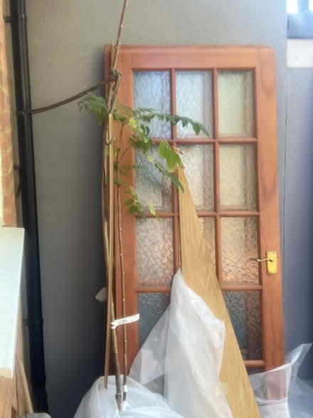 Photo of free 4 doors (Whiton TW45LU) #2
